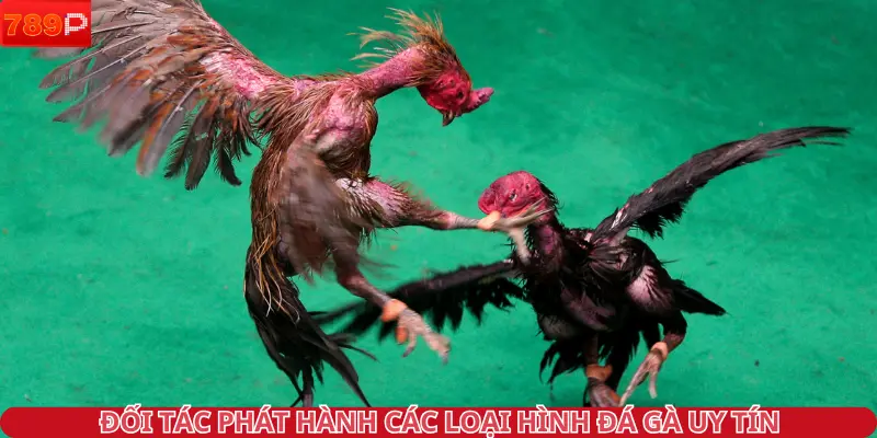 Đối tác phát hành các loại hình đá gà uy tín